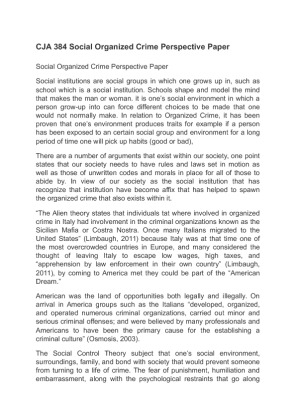 CJA 384 Social Organized Crime Perspective Paper (2)
