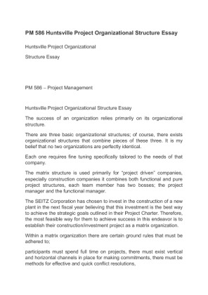 PM 586 Huntsville Project Organizational Structure Essay